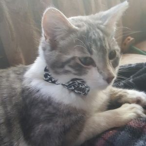 Meet your Posher, Marissa